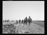 [Untitled photo, possibly related to: Near Los Banos, California. Migratory agricultural workers. Cotton hoers. Leave the field at the end of the day. Wages twenty cents an hour]. Sourced from the Library of Congress.