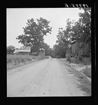 Looking down country road in Person County, North Carolina. Note light sandy soil. Sourced from the Library of Congress.