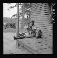 [Untitled photo, possibly related to: Tobacco sharecropper's daughter getting eggs from hen's nest in the henhouse. Enclosure for the pig is just beyond under the pine trees. Person County, North Carolina]. Sourced from the Library of Congress.