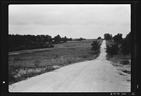 Farm landscape, Person County, North Carolina, showing tobacco fields, pasture, fine woods, white sandy roads, and operator's house between trees at left. Sourced from the Library of Congress.