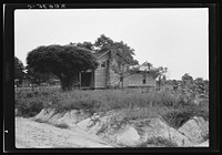 Story-and-a-half weatherboard house. Note chinaberry tree, common for shade. Note soil erosion in foreground. Note corner of tobacco field. Person County, North Carolina. Sourced from the Library of Congress.