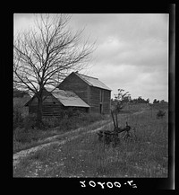 Hillside Farm road leading from sharecropper's house back to the public road. Disc harrow rusting in field and tobacco pack house with log "odering house" adjoining. Person County, North Carolina. Sourced from the Library of Congress.