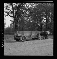 [Untitled photo, possibly related to: Logged over land along U.S. 99. Southern Oregon]. Sourced from the Library of Congress.