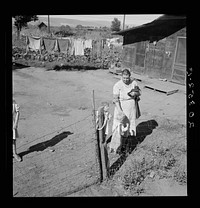 Family living in shacktown community, mostly from Kansas and Missouri. This family has five children, oldest in third grade. Rent seven dollars per month, no plumbing. Husband working on Work Projects Administration wages, forty four dollars. Washington, Yakima Valley. Sourced from the Library of Congress.