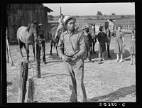 Chris Adolf, his teams and six of his children, on their new farm. Washington, Yakima Valley, near Wapato. Farm Security Administration borrower. Sourced from the Library of Congress.