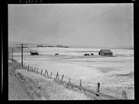 Washington, Klickitat County, near Goldendale. Wheat country, abandoned farm in foreground, occupied farm beyond. Heard in local filling station: "Well, heck, the large farmers are buying out the small farmers and taking over the country. The farmers have to do it in dry land farming to build their land up to where it was. The little fellows are off to the four winds.". Sourced from the Library of Congress.