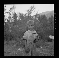 This is a younger brother who also picks hops. Washington, near Toppenish, Yakima Valley. Sourced from the Library of Congress.