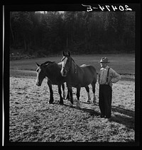 Wester Washington, Lewis County, near Centralia. Farmer shown with his team of which he is most proud.. Sourced from the Library of Congress.