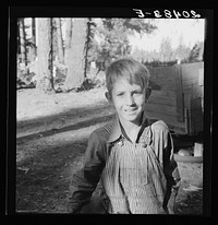 [Untitled photo, possibly related to: Oregon, Marion County, near West Stayton. Bean picker's child. Just arrived from near Joplin, Missouri. Question: "Why did you leave there?" Answer: "We couldn't make it."]. Sourced from the Library of Congress.