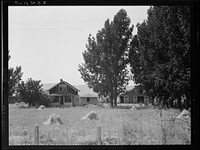 [Untitled photo, possibly related to: On tenant purchase program (Farm Security Administration). Another view of E. Houston's farm. Washington, Yakima County, west of Toppenish]. Sourced from the Library of Congress.