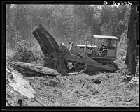 Loosening and pushing a big stump on Nieman place. Western Washington, Lewis County, near Vader, Washington.. Sourced from the Library of Congress.