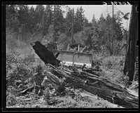 Bulldozer equipped with grader blade pushing over a stump. Western Washington, Lewis County, near Vader, Washington.. Sourced from the Library of Congress.