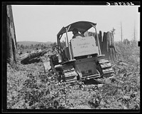 Untitled photo, possibly related to: Bulldozer in operation on the Nieman place. Western Washington, Lewis County, near Vader, Washington.. Sourced from the Library of Congress.