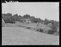 [Untitled photo, possibly related to: Western Washington subsistence farm, whittled out of the stumps. "Eighty per-cent of the forty-five thousand farms in western Washington are inadequate." Farm Security Administration (FSA) state director. Washington, Grays Harbor County]. Sourced from the Library of Congress.