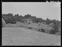 Western Washington subsistence farm, whittled out of the stumps. "Eighty per-cent of the forty-five thousand farms in western Washington are inadequate." Farm Security Administration (FSA) state director. Washington, Grays Harbor County. Sourced from the Library of Congress.