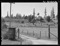 Western Washington stump farm. The shelter at lower left is provided to protect children from the weather as they wait for the school bus. Washington, Lewis County, near Vader. Sourced from the Library of Congress.