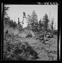 Western Washington, Lewis County, near Vader. Bulldozer clearing and pushing stumps to the pile where they will be burned. Nieman farm.. Sourced from the Library of Congress.