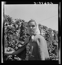 FSA/8b38000/8b38700\8b38775a.tif. Sourced from the Library of Congress.