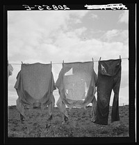 Detail on Kytta farm. Western Washington, Thurston County, Michigan Hill by Dorothea Lange