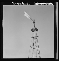 On abandoned farm in Columbia Basin. Washington, Grant County, one mile east of Quincy. See general caption number 35View Enlarged Image by Dorothea Lange