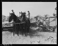 Threshing, midsummer, noon. Five miles west of Malin. Klamath County, Oregon. Sourced from the Library of Congress.
