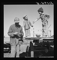 Franklin Schroeder and the older boys in the yard. He is giving them the "last watermelon of the season." Dead Ox Flat, Malheur County, Oregon. General caption number 67-111 by Dorothea Lange