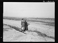 Four of the seven Browning children wait for the school bus at the road by their farm. Dead Ox Flat, Malheur County, Oregon. General caption number 67-111. Sourced from the Library of Congress.