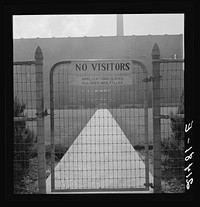 [Untitled photo, possibly related to: Entrance to Amalgamated Sugar Company factory at opening of second beet season. Nyssa, Oregon]. Sourced from the Library of Congress.