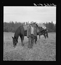 Basque sheep herder who speaks broken English coming down from summer camp with pack animals. Adams County, Idaho. Sourced from the Library of Congress.