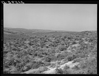 Landscape showing raw land. Nyssa Heights, Malheur County, Oregon. General caption 66. Sourced from the Library of Congress.