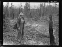 [Untitled photo, possibly related to: Family work clearing land by burning. Near Bonners Ferry, Boundary County, Idaho. See general caption 49]. Sourced from the Library of Congress.