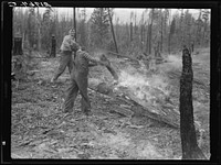 Family work clearing land by burning. Near Bonners Ferry, Boundary County, Idaho. See general caption 49. Sourced from the Library of Congress.