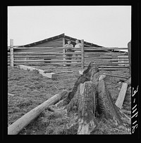 [Untitled photo, possibly related to: Farm family in the cut-over land. Priest River Valley, Bonner County, Idaho. The Halley family, FSA (Farm Security Administration) borrowers. See general caption 51]. Sourced from the Library of Congress.