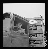 [Untitled photo, possibly related to: Stump farmer hauling load of slab wood for sale in town. Bonner County, Idaho. See general caption 49]. Sourced from the Library of Congress.
