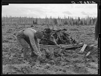 Ex-lumber mill worker clears eight-acre field after  has pulled stumps. Boundary stumps. Boundary County, Idaho. See general caption 49. Sourced from the Library of Congress.