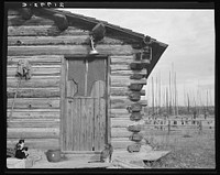 Log home. Farm established six years ago. Priest River Peninsula, Bonner County, Idaho. See general caption 49. Sourced from the Library of Congress.