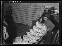 Loading sacked potatoes from shed to truck. Tulelake, Siskiyou County, California. Sourced from the Library of Congress.
