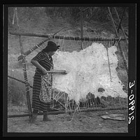 Method of scraping hide for softening. Indian fishing village. Oregon by Dorothea Lange