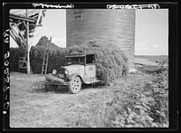 [Untitled photo, possibly related to: Unloading pea vines at vinery. Sun Prairie, Wisconsin] by Russell Lee