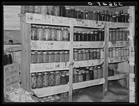Canned fruits and vegetables in Edward Chapman's cellar. Northome, Minnesota by Russell Lee