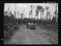 Dragging pulpwood to loading platform at lumber camp near Effie, Minnesota by Russell Lee