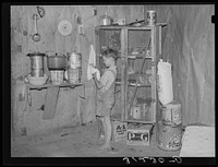 Southeast Missouri Farms. Child of sharecropper wiping hands in kitchen by Russell Lee