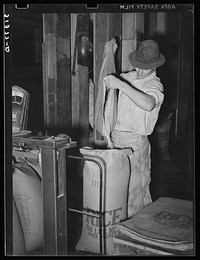 Bringing sack of rice to hundred-pound weight. State rice mill, Crowley, Louisiana by Russell Lee