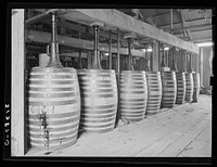 [Untitled photo, possibly related to: Barrels of perique tobacco during process of aging. Perique tobacco is raised in one parish in Louisiana, and this is the only place in the world where this tobacco is raised. Saint James Parish, Louisiana] by Russell Lee