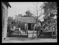 [Untitled photo, possibly related to: Backyard of sharecropper's home. He will participate under tenant purchase program. Near Caruthersville, Missouri] by Russell Lee