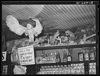 Stuffed birds and animals in barroom. Raceland, Louisiana by Russell Lee