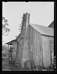 Part of home of aged couple, with mud and moss chimney held together by sticks. Crowley, Louisiana by Russell Lee