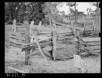 Fencing on farm of W.E. Smith, who will be given aid by FSA (Farm Security Administration). Near Morganza, Louisiana by Russell Lee