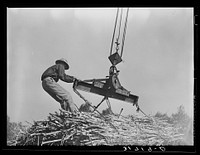 Placing ropes into position for hoisting bundles of sugarcane at mill near New Iberia, Louisiana by Russell Lee