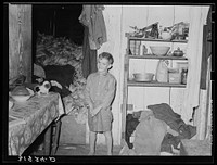 Son of the Adams family, Morganza, Louisiana, in kitchen with corn crib in the rear room by Russell Lee